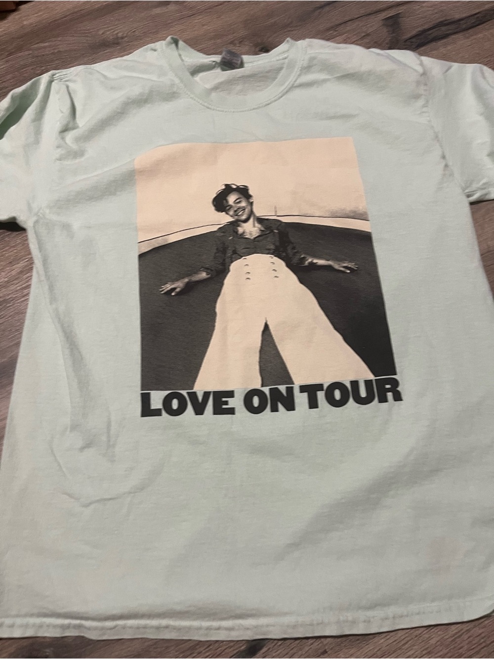 Gildan Light Mint Harry Styles  'Love On Tour' Graphic Tee - Large